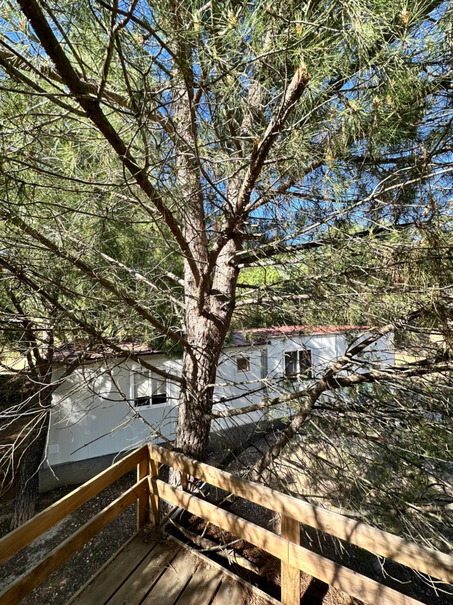 Bungalow Golosina Torrelaguna Esterno foto