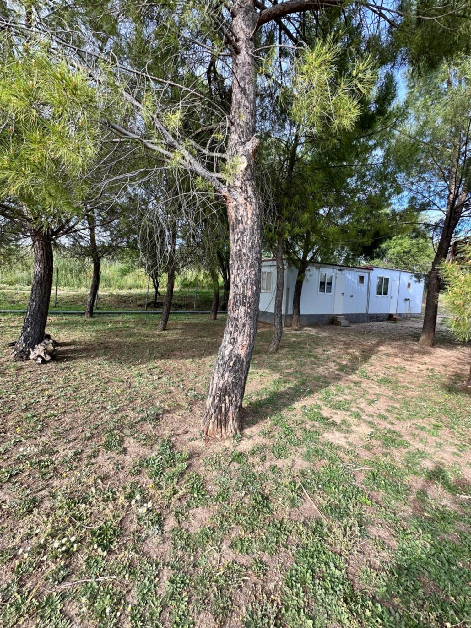 Bungalow Golosina Torrelaguna Esterno foto